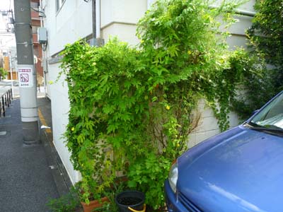 今日も元気に 今日も元気に