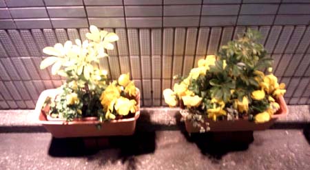 ラブホな人々 ラブホな人々