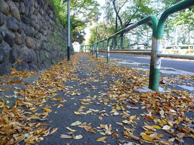 おいしい思ひ出 おいしい思ひ出