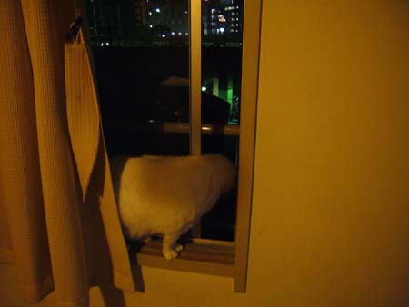 ラブホな人々 ラブホな人々