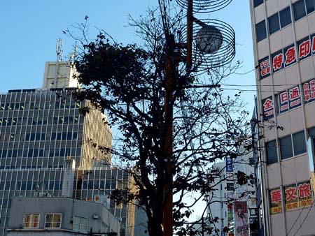 ラブホな人々 ラブホな人々