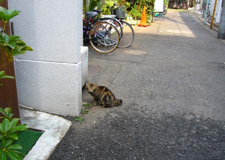 ラブホな人々